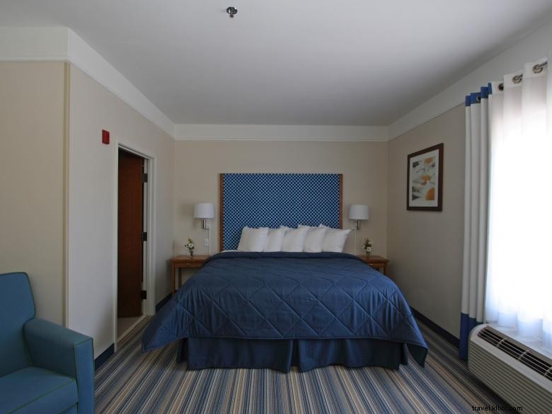 Comfort Inn & Suites – Premier Comfort Near Savannah Airport