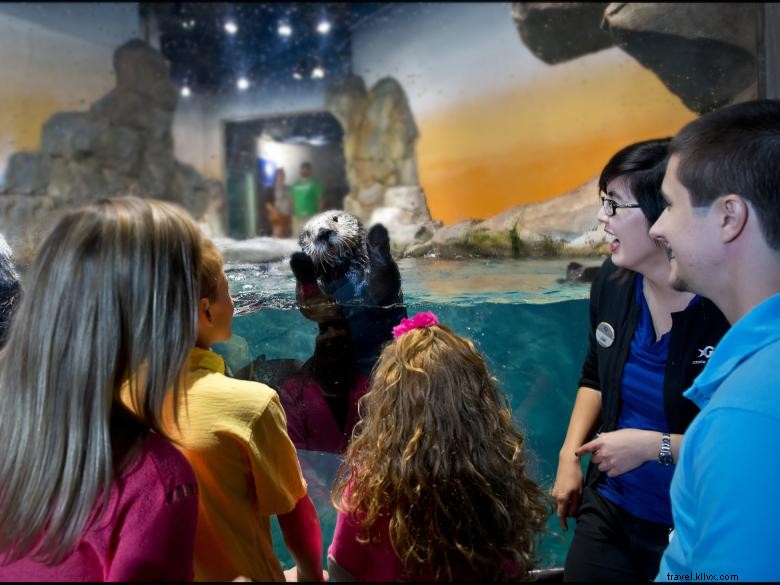 Explore Atlanta’s Centennial Park District: Museums, Attractions, and More