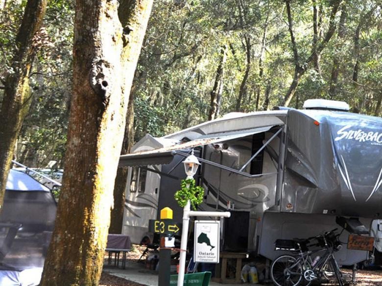 Discover 175 Campsites at Jekyll Island Campground – Scenic, Secluded, & Fully Equipped