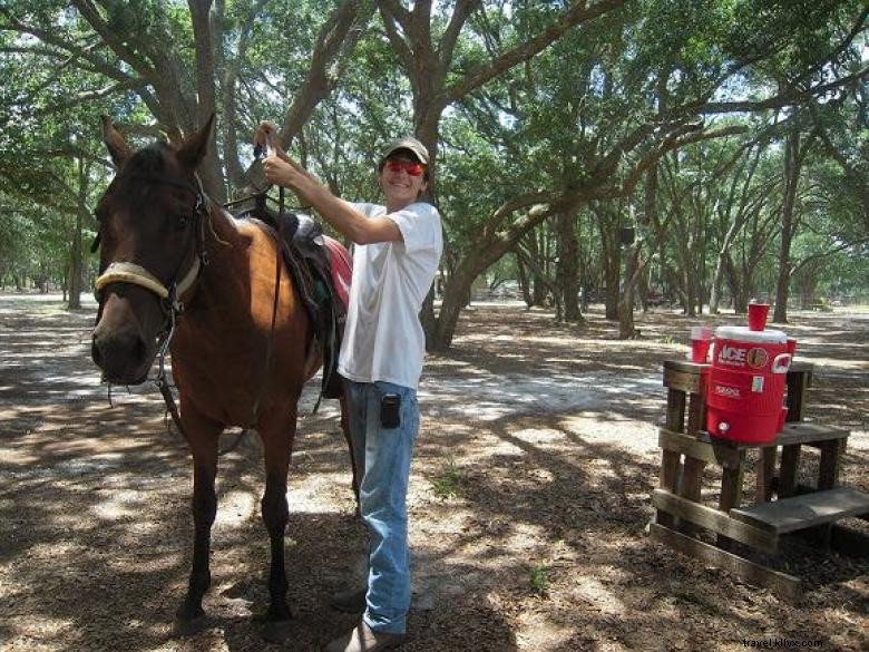 Newell Lodge & Resort – Premier Luxury Retreat