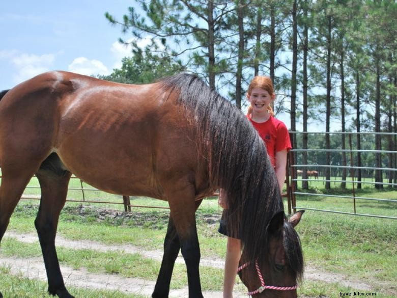 Newell Lodge & Resort – Premier Luxury Retreat