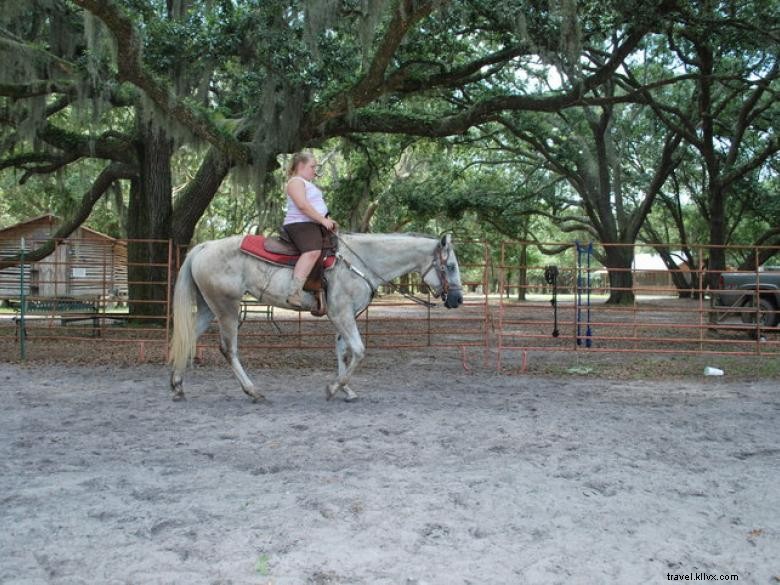 Newell Lodge & Resort – Premier Luxury Retreat