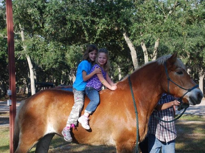 Newell Lodge & Resort – Premier Luxury Retreat