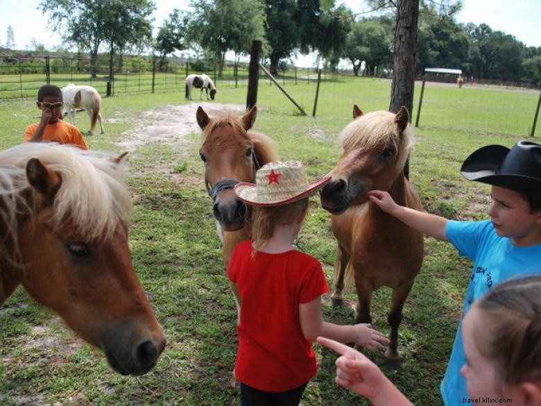 Newell Lodge & Resort – Premier Luxury Retreat