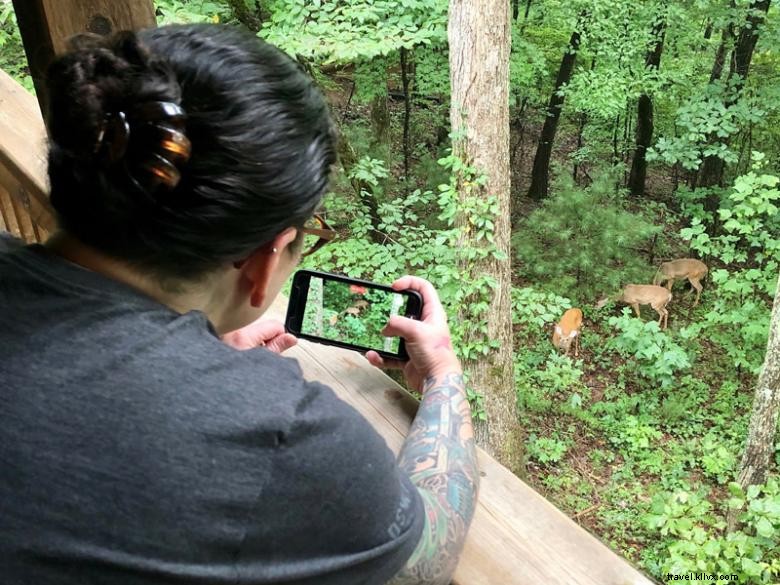 Red Roof Cottage – Charming Seaside Retreat