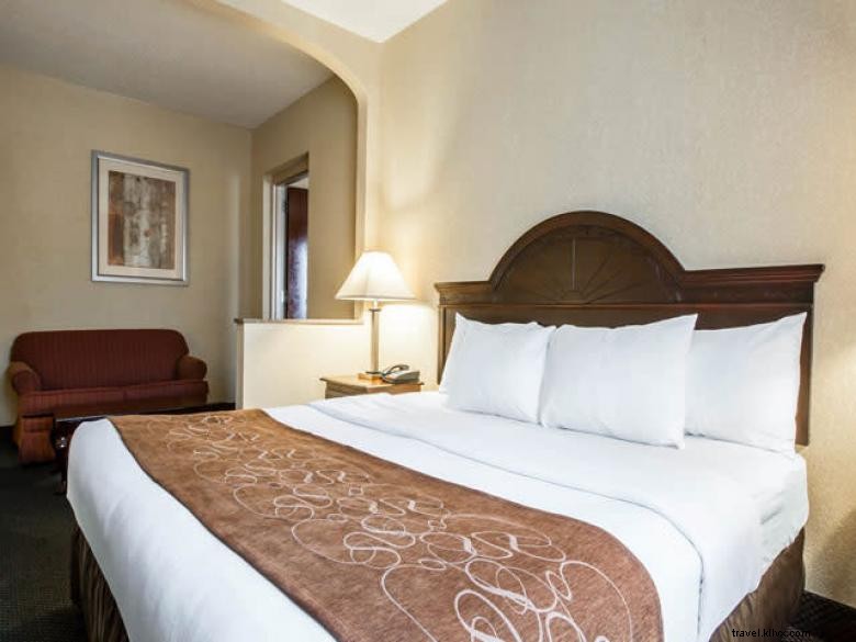 Comfort Suites Columbus – Cozy Comfort & Central Convenience