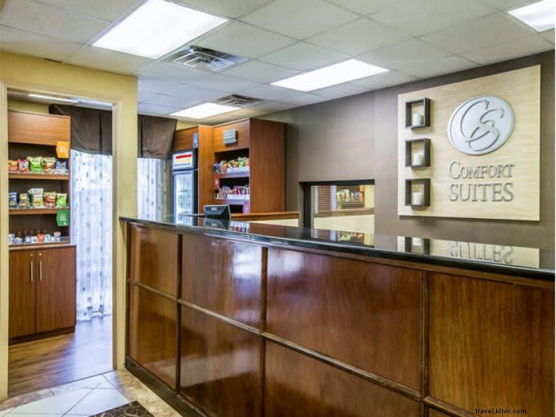 Comfort Suites Columbus – Cozy Comfort & Central Convenience