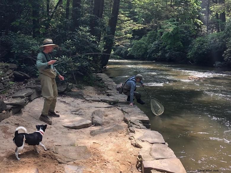Brigadoon Lodge: Luxury Alpine Retreat