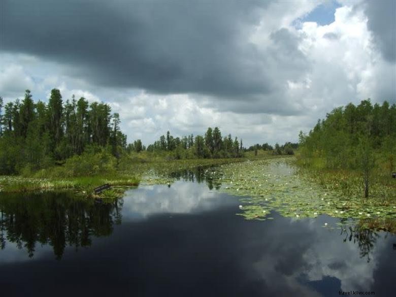The Inn at Folkston: Charming Southern B&B with Historic Flair