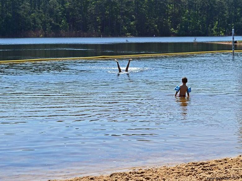 Explore Mistletoe State Park: Scenic Campsites, Nature Center & Visitor Gift Shop