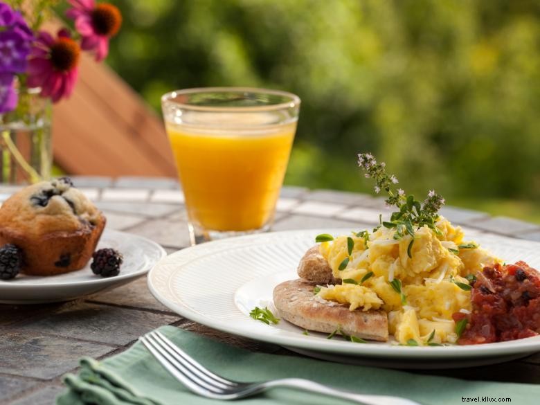 Experience Luxury at Lucille s Mountain Top Inn & Spa, Northeast Georgia