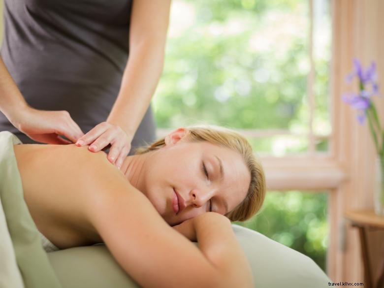 Experience Luxury at Lucille s Mountain Top Inn & Spa, Northeast Georgia