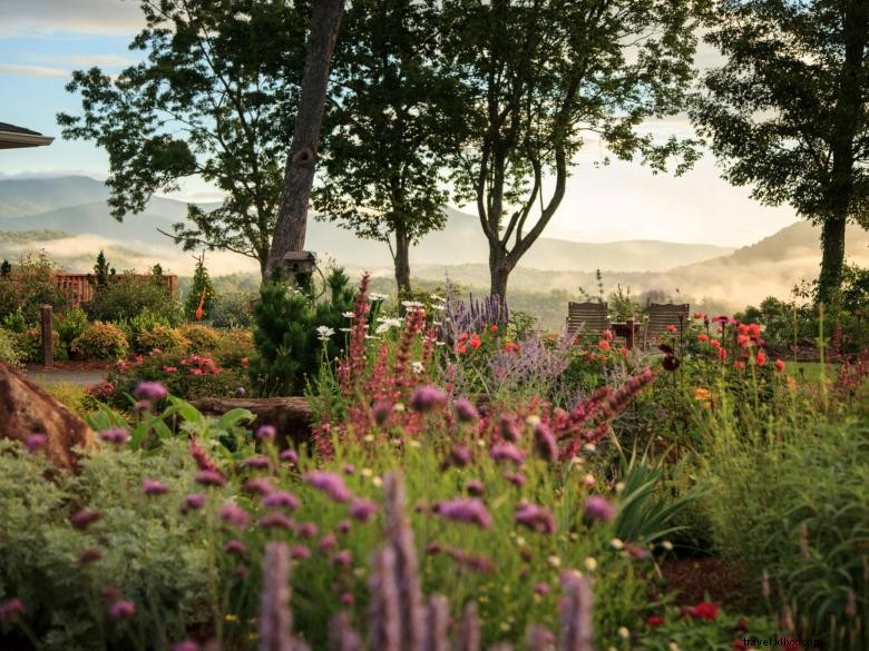 Experience Luxury at Lucille s Mountain Top Inn & Spa, Northeast Georgia