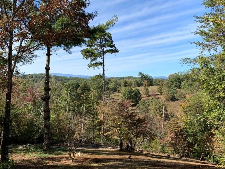 Discover Serenity: A Journey to Inner Peace