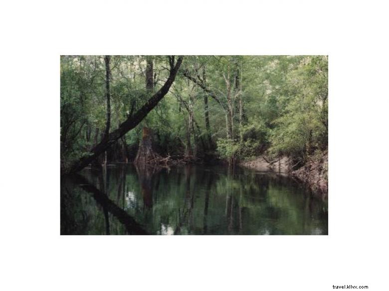 Hidden River Resort: Pet-Friendly 88‑Acre Retreat on St. Marys River