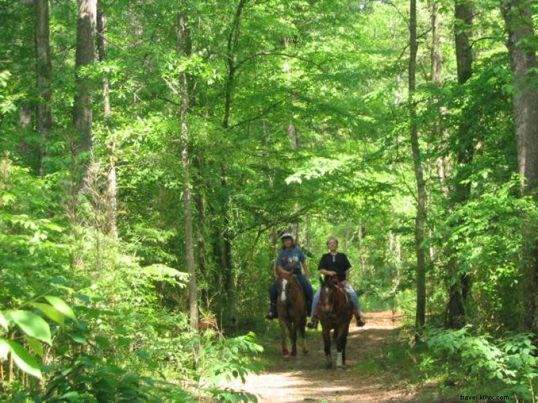 Discover Grove River Ranch: Tranquil Trails & Lush Mountain Laurel