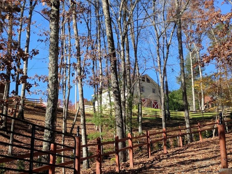 Daffodil Hill: Romantic Carriage House Suite – A Luxury Escape