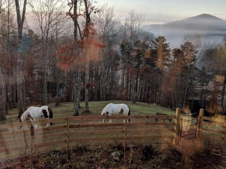 Daffodil Hill: Romantic Carriage House Suite – A Luxury Escape