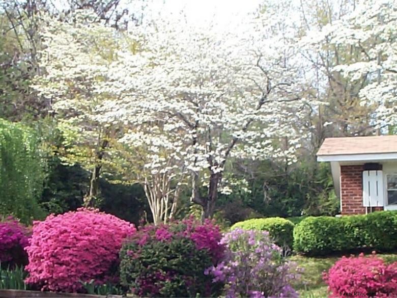 Mountain Aire Cottages & Inn – Your Ultimate Mountain Retreat