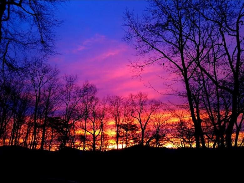 Cabin in the Clouds: Escape to Aska Mountain Cabins