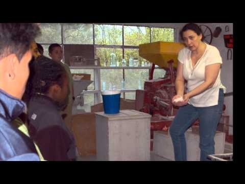 Sylvan Falls Mill Bed & Breakfast – Historic Mill & Serene Waterfall Retreat