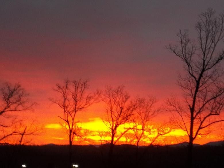 Douglas Inn & Suites – Premium Comfort & Modern Amenities