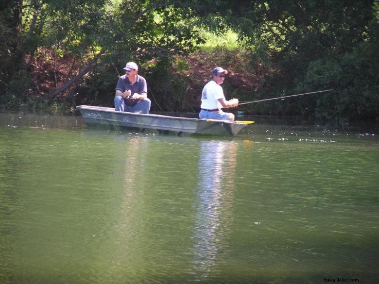 Whispering Pines RV & Campground – 90 Spacious Sites in Coastal Georgia