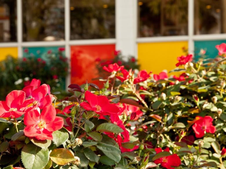 The Thunderbird Inn – Savannah’s Classic Retro Retreat