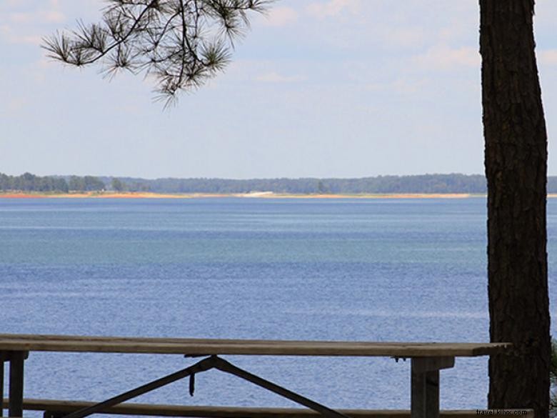 Explore Ridge Road Campground: Scenic Peninsula Retreat on J. Strom Thurmond Lake