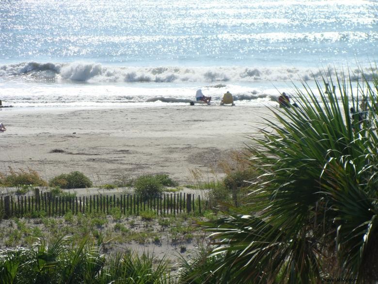 Luxury Oceanfront Condo on South Beach s Prestigious Strand