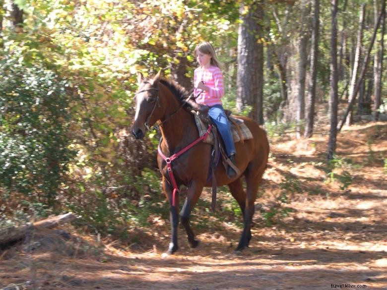 Explore Bussey Point Recreation Area: Scenic Trails & Family Fun
