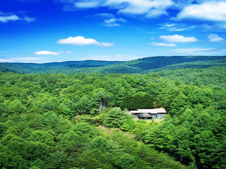 Heavenly Hollow: A Serene Escape into Nature s Beauty