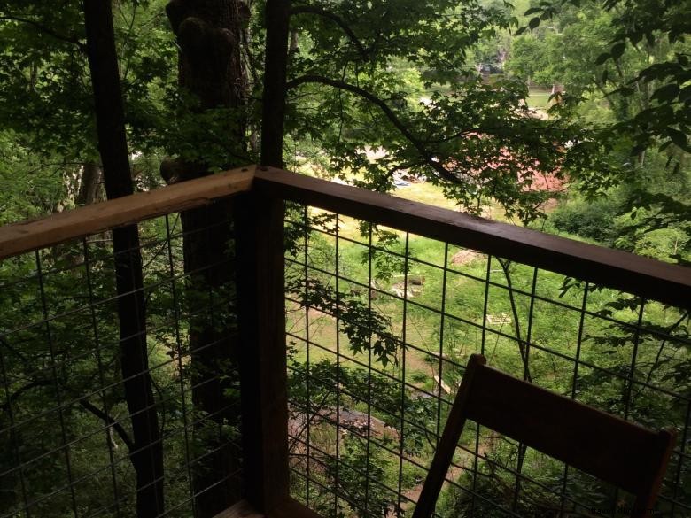 Exclusive Treetop Hideaways: Luxury Lofted Retreats with Scenic Canopy Views