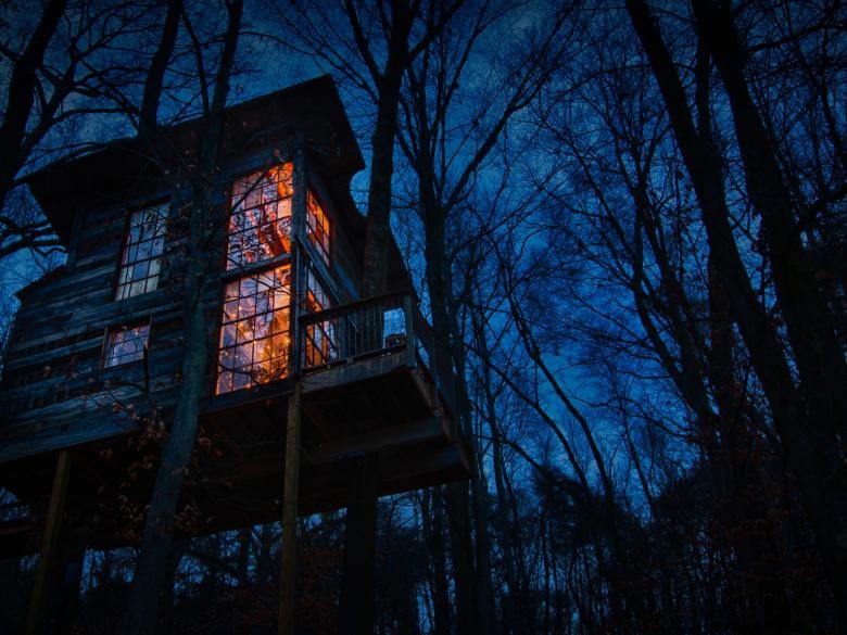 Exclusive Treetop Hideaways: Luxury Lofted Retreats with Scenic Canopy Views