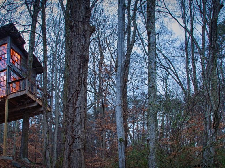 Exclusive Treetop Hideaways: Luxury Lofted Retreats with Scenic Canopy Views