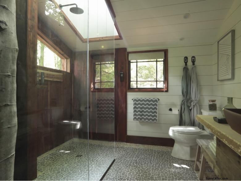 Exclusive Treetop Hideaways: Luxury Lofted Retreats with Scenic Canopy Views