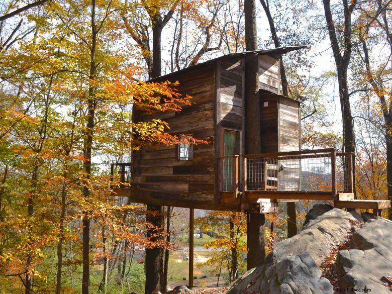 Exclusive Treetop Hideaways: Luxury Lofted Retreats with Scenic Canopy Views