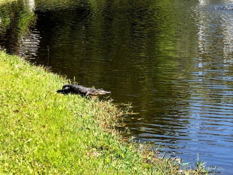 Big Wheel RV Park: Your Ultimate Outdoor Retreat