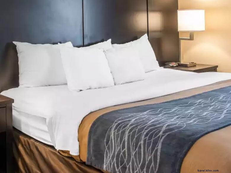 Comfort Inn & Suites Ballpark Area – Comfortable Stay in Atlanta