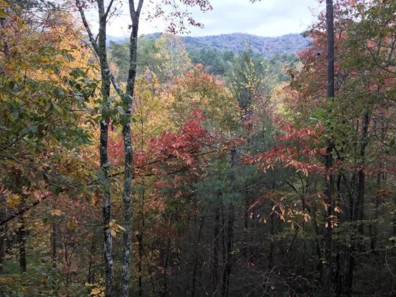 Explore Cozy Cabins at Sandys North Georgia – Your Ideal Mountain Retreat