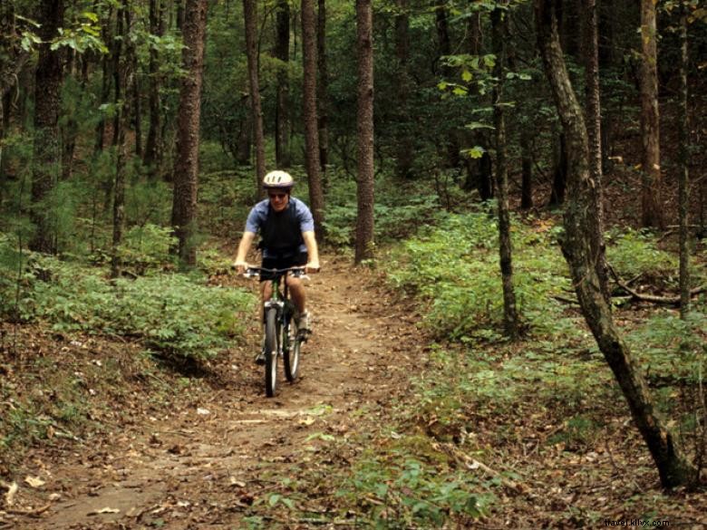 Unicoi State Park & Lodge – Scenic Trails & Comfortable Accommodations