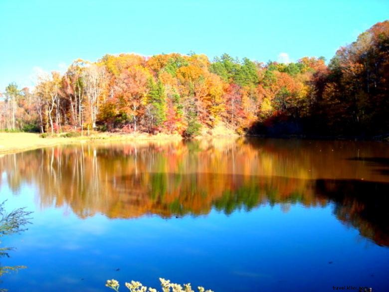 The Rock Campground & RV Park – Your Ultimate Lakeside Camping Destination