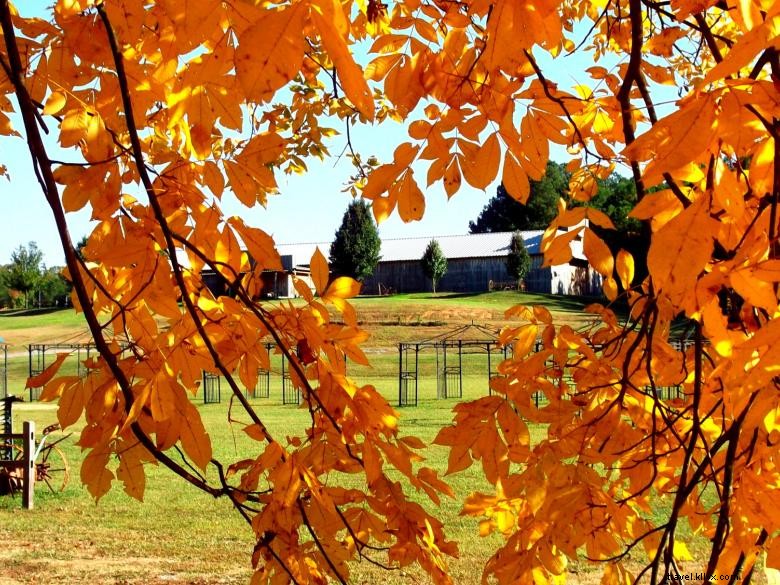 The Rock Campground & RV Park – Your Ultimate Lakeside Camping Destination