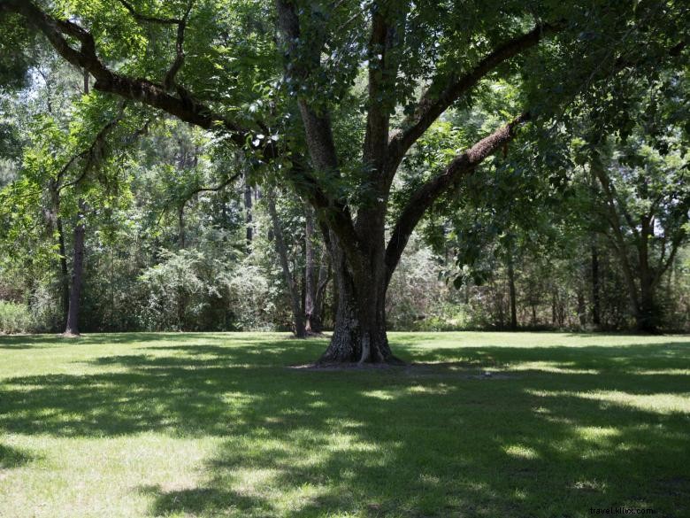 Explore the Pope s Museum: A Journey Through History and Art