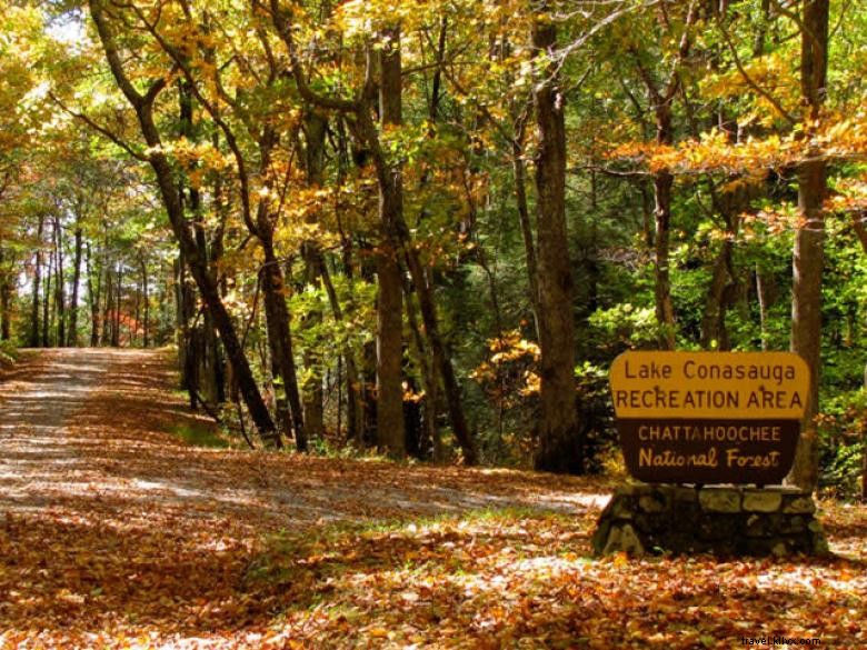 Lake Conasauga Primitive Camping: Secluded Lakeshore Experience