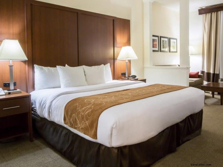 Comfort Suites Cumming – Modern Comfort in the Northeast Georgia Mountains