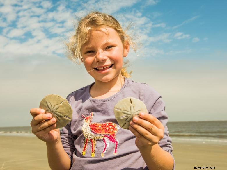 Lodge at Little St. Simons Island – Natural Retreat & Gourmet Dining