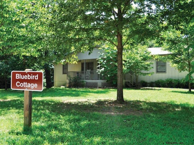 Explore Victoria Bryant State Park: Camping, Fishing, and Scenic Trails