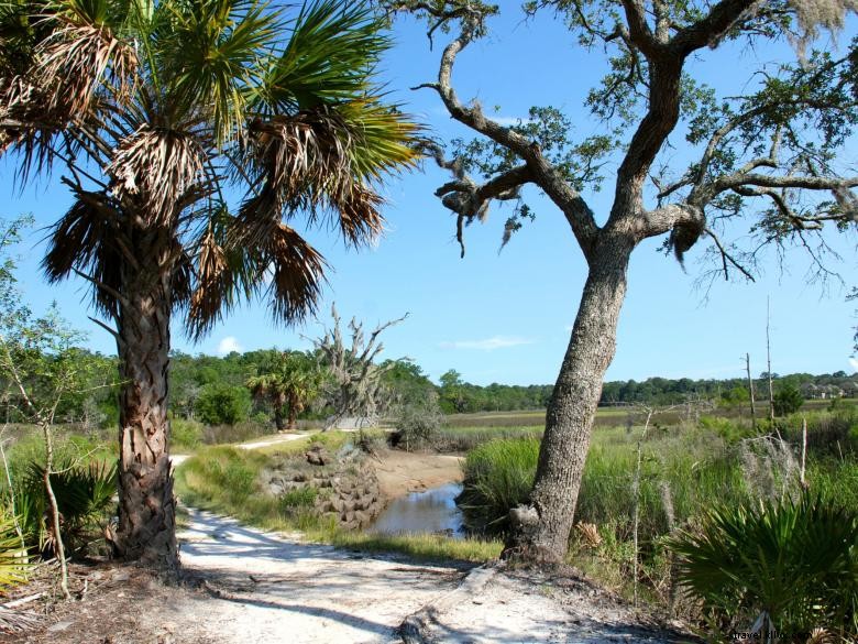 Explore Skidaway Island State Park: Trails, Camping, and Scenic Biking