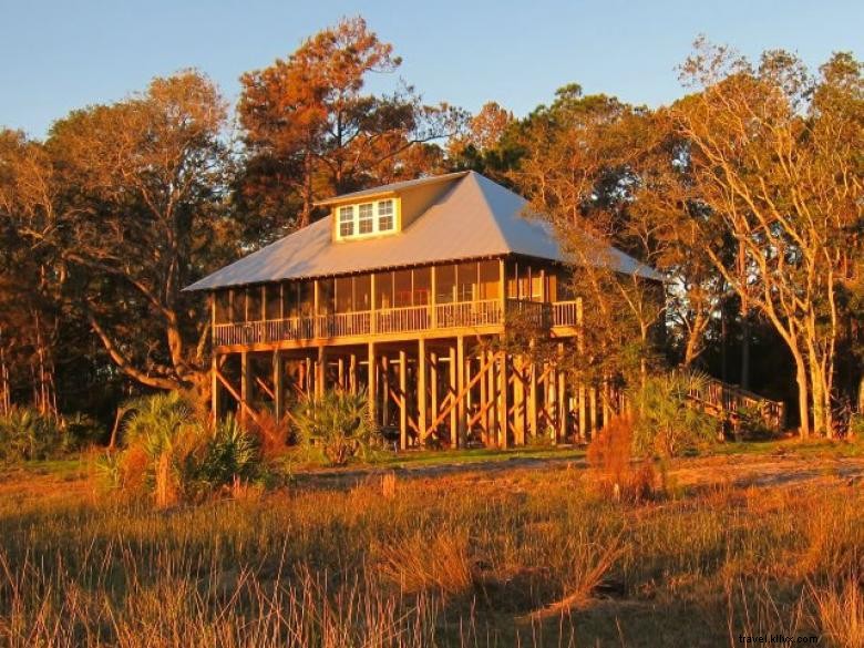 Sapelo Island Birdhouses: A Bird Lover s Guide